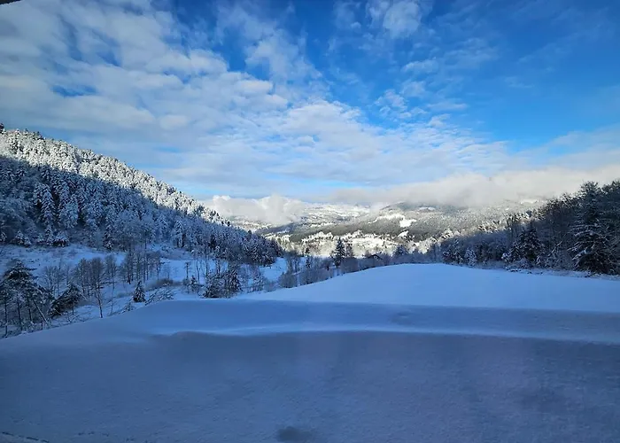 Le Hangar Des O Evasion Nature Et *